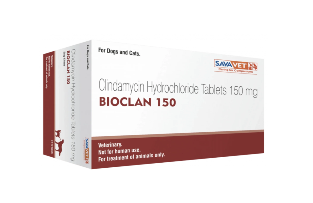 클린디마이신 BIOCLAN - 600mg, 240정