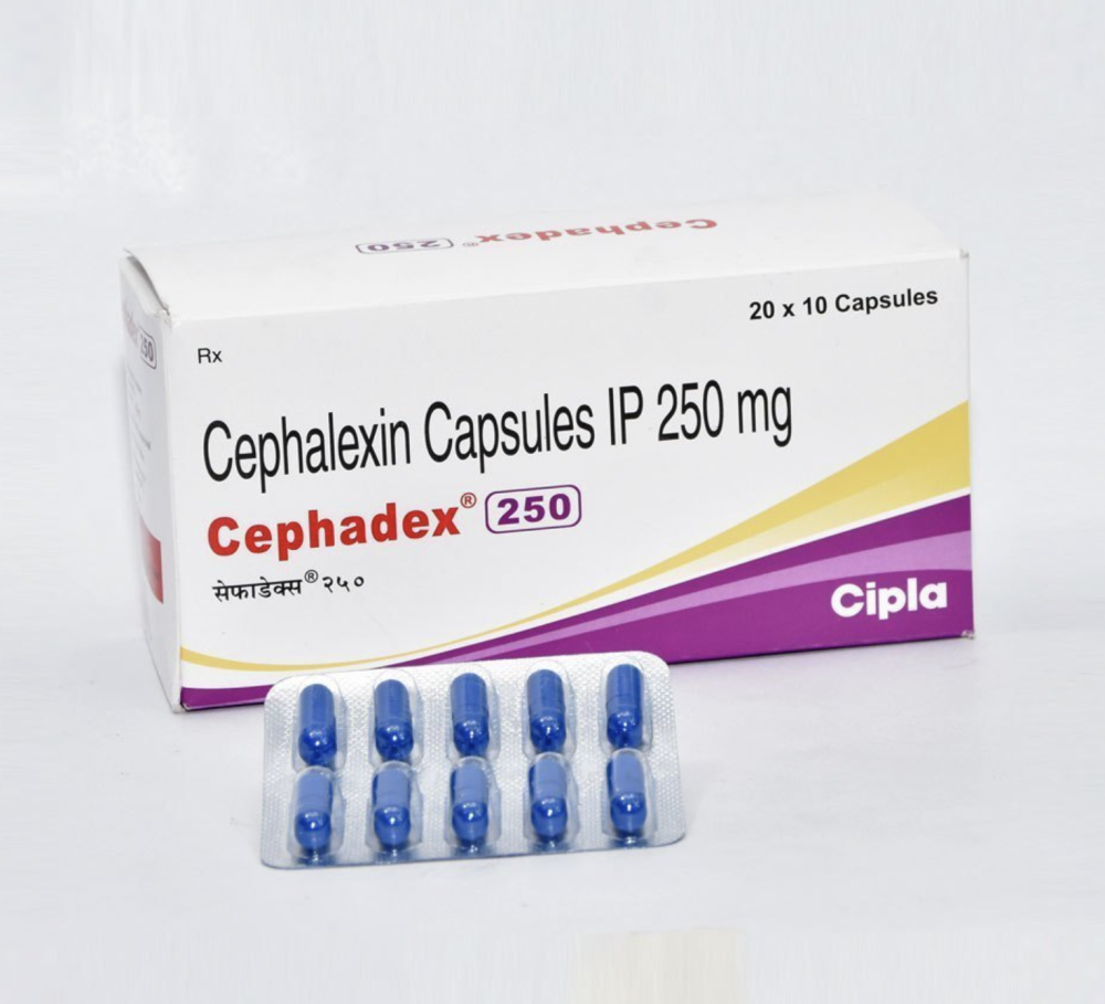 세파메칠정 세팔렉신 - 500mg, 400정