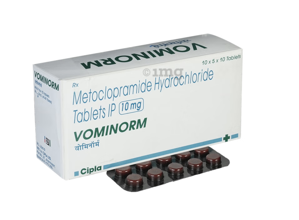 맥페란정 메토클로프라미드 Vominorm