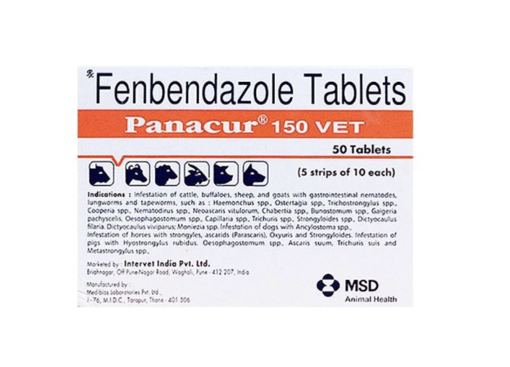 파나쿠어 펜벤다졸 Panacur